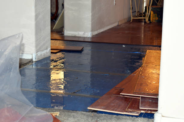 Professional Sewage Cleanup technician working in Amherst, TX