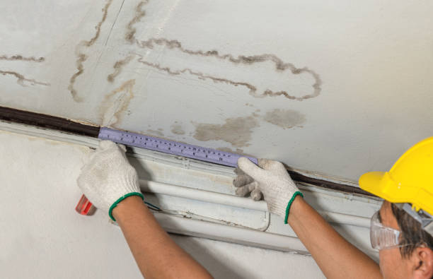 Reliable Sewage Cleanup contractor in Amherst, TX by Water Damage Irwin